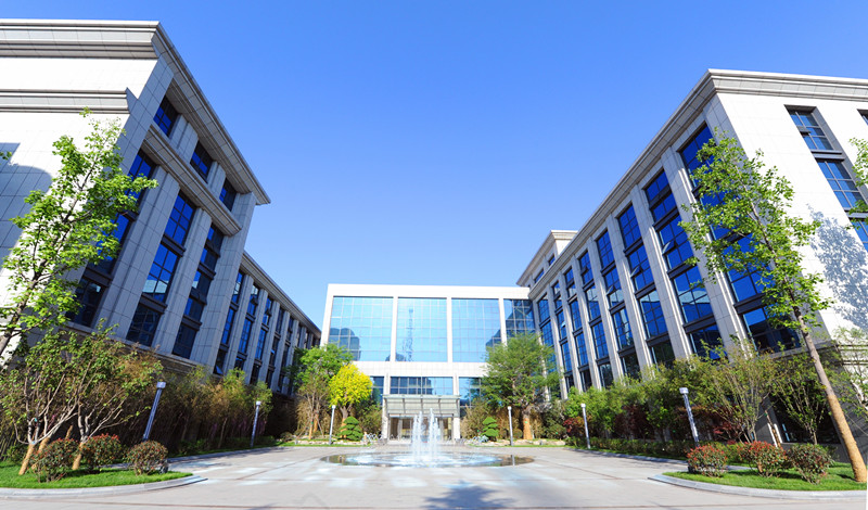 濟南城建集團大院綠化改造工程