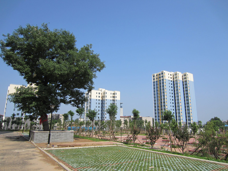 姚家村安置房園林綠化D區(qū)、E區(qū)、F區(qū)、G區(qū)的園林綠化工程第二標段